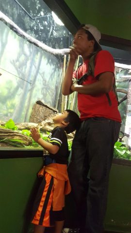 Two students looking up into a rainforest habitat exhibit