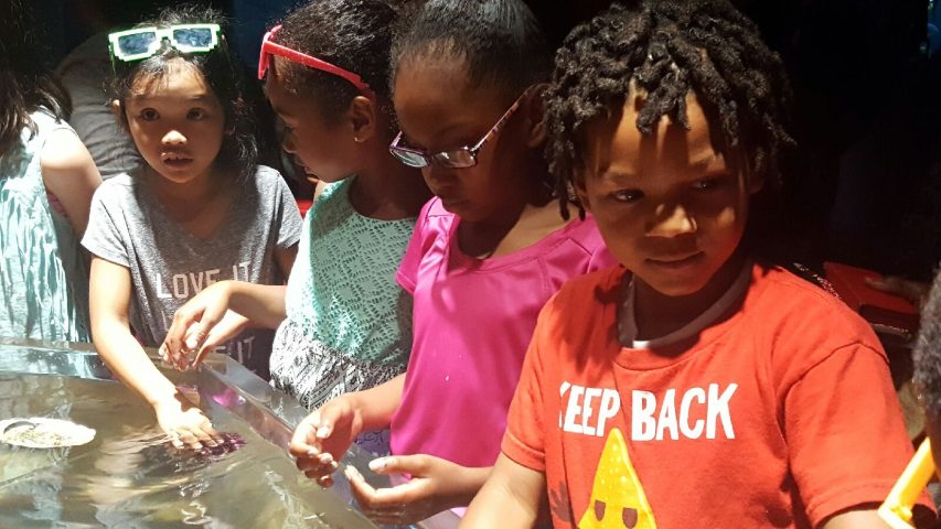 Students reaching into a hands-on water exhibit at a science museum